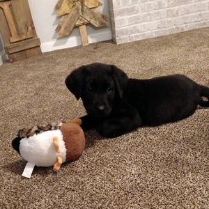 Meet your Posher, Erica